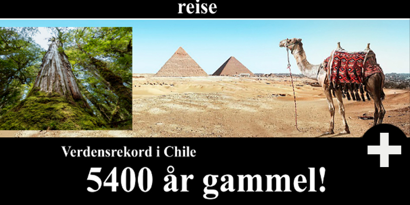Thumbnail Image 1