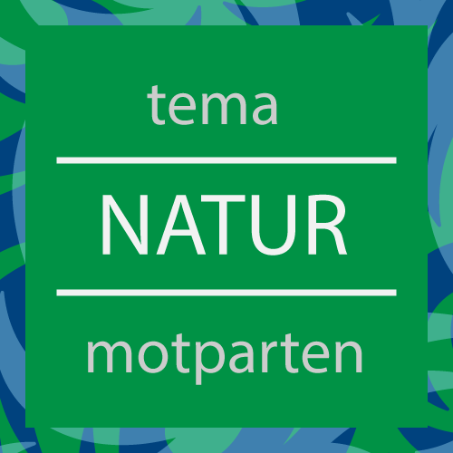 Thumbnail Image 1